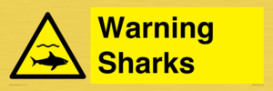 Warning sharks