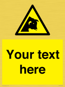 Custom warning bull