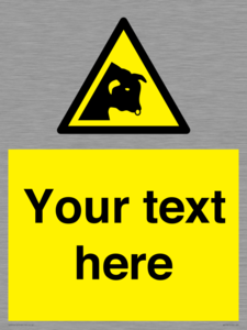 Custom warning bull