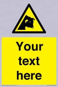 Custom warning bull