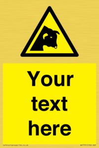 Custom warning bull