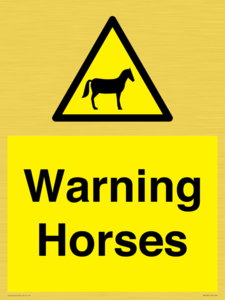 Warning Horses
