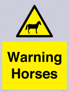 Warning Horses