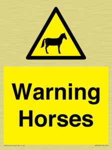 Warning Horses