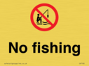 no-fishing~