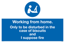 working-from-home-only-to-be-disturbed-in-the-case-of-biscuits-and-i-suppose-fir~