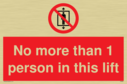 no-more-than-1-person-in-this-lift~