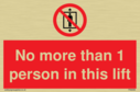 no-more-than-1-person-in-this-lift~
