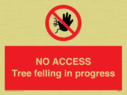 no-access-tree-felling-in-progress~