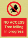 no-access-tree-felling-in-progress~