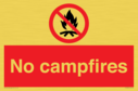 no-campfires~