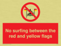 no-surfing-between-the-red-and-yellow-flags~