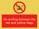 no-surfing-between-the-red-and-yellow-flags~