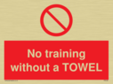 no-training-without-a-towel~