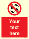 custom-no-ball-games-sign-add-your-own-custom-text-normal-delivery-times-apply-r~