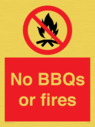 no-bbqs-or-fires~