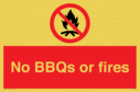 no-bbqs-or-fires~
