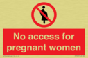 no-access-for-pregnant-women~