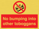 no-bumping-into-other-toboggans~