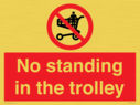 no-standing-in-the-trolley~