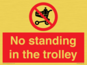 no-standing-in-the-trolley~