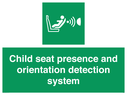 child-seat-presence-and-orientation-detection-system~