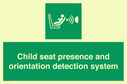 child-seat-presence-and-orientation-detection-system~