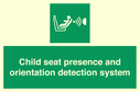 child-seat-presence-and-orientation-detection-system~
