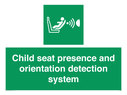 child-seat-presence-and-orientation-detection-system~