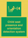 child-seat-presence-and-orientation-detection-system~