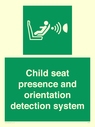 child-seat-presence-and-orientation-detection-system~