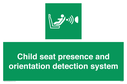 child-seat-presence-and-orientation-detection-system~