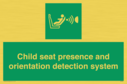 child-seat-presence-and-orientation-detection-system~