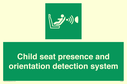 child-seat-presence-and-orientation-detection-system~