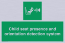 child-seat-presence-and-orientation-detection-system~