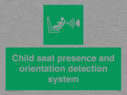 child-seat-presence-and-orientation-detection-system~