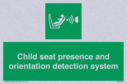 child-seat-presence-and-orientation-detection-system~