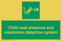 child-seat-presence-and-orientation-detection-system~