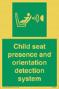child-seat-presence-and-orientation-detection-system~