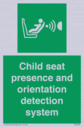 child-seat-presence-and-orientation-detection-system~