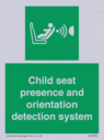 child-seat-presence-and-orientation-detection-system~