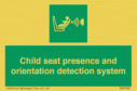 child-seat-presence-and-orientation-detection-system~