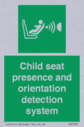 child-seat-presence-and-orientation-detection-system~