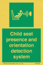 child-seat-presence-and-orientation-detection-system~