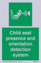 child-seat-presence-and-orientation-detection-system~