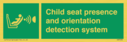 child-seat-presence-and-orientation-detection-system~