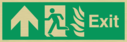 fire-exit--emergency-exit-sign-with-arrow-up-with-running-man-facing-left-and-fl~