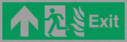 fire-exit--emergency-exit-sign-with-arrow-up-with-running-man-facing-left-and-fl~