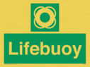 lifebuoy~