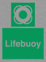 lifebuoy~